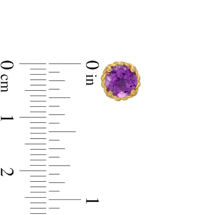 Goldia 60mm Amethyst Solitaire RopeTextured Frame Stud Earrings in Sterling Silver and 10K Gold Earrings